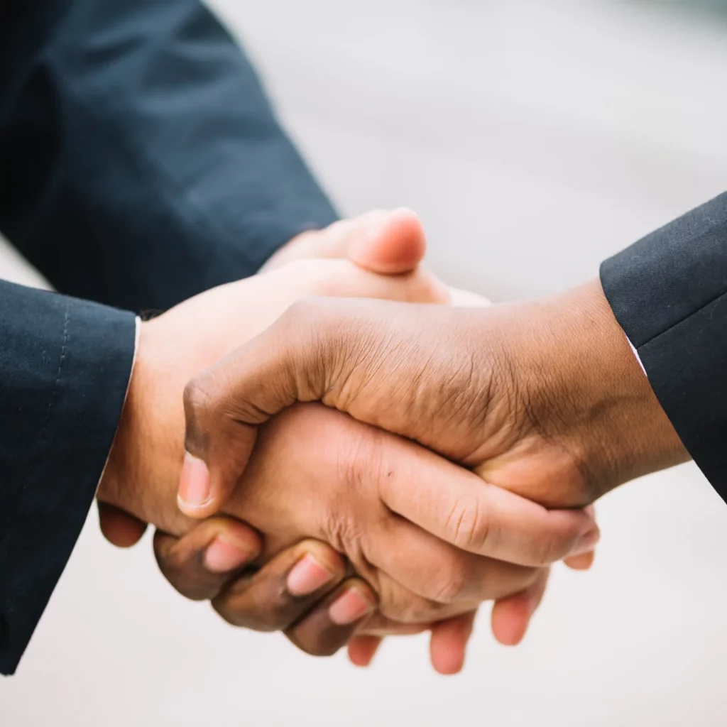 websites to sell your car, , nichemar, Niche Market Int, Toyota Land Cruiser, racio lab, raciolab,